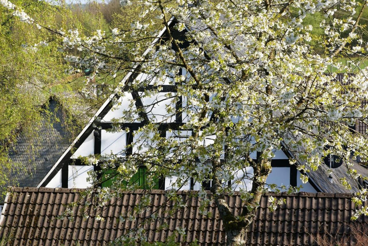 Gasthof Schumacher Hotel garni Freudenberg  Exterior foto